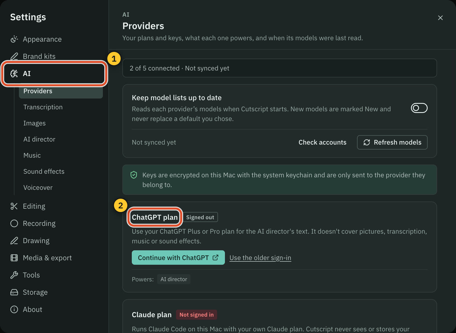 Settings, AI, Providers, with the five cards