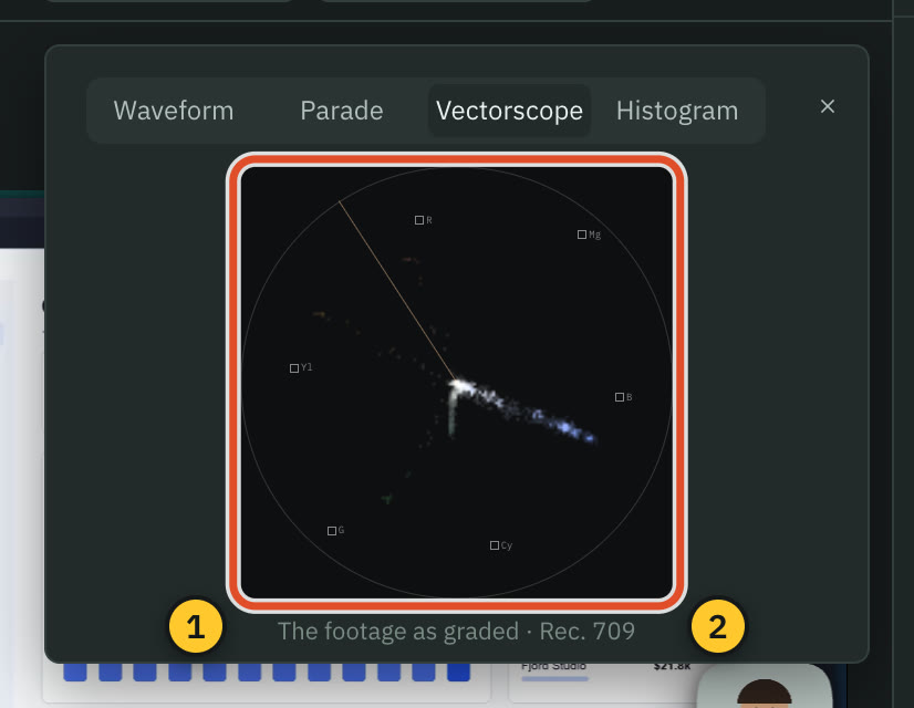 The vectorscope.