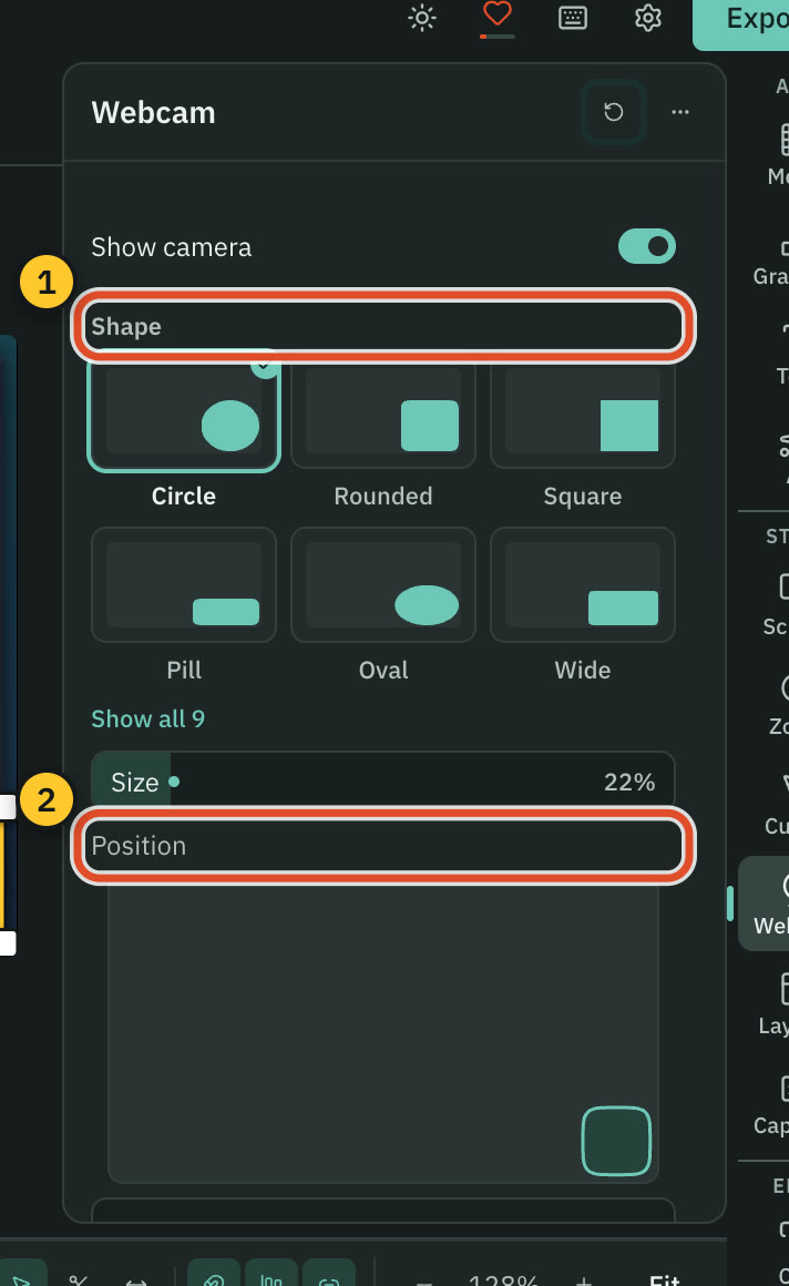 The webcam panel